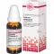 COLLINSONIA CANADENSIS D 2 Dilution, 20 ml