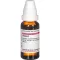 THUJA Mother tincture, 20 ml