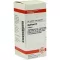 AGARICUS D 6 tablets, 80 pcs