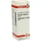 SOLIDAGO VIRGAUREA Mother tincture, 20 ml