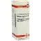 SOLIDAGO VIRGAUREA D 3 dilution, 20 ml