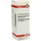 SOLIDAGO VIRGAUREA D 6 Dilution, 20 ml