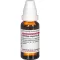 SOLIDAGO VIRGAUREA D 6 Dilution, 20 ml