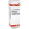 SABAL SERRULATUM D 1 dilution, 20 ml