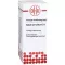 SABAL SERRULATUM D 1 dilution, 20 ml