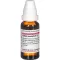 SABAL SERRULATUM D 1 dilution, 20 ml