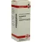 HAMAMELIS Mother tincture, 20 ml