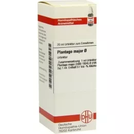 PLANTAGO MAJOR Mother tincture, 20 ml