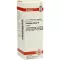 PLANTAGO MAJOR Mother tincture, 20 ml