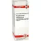 PHOSPHORUS D 8 Dilution, 20 ml