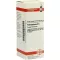 PETROSELINUM D 6 Dilution, 20 ml