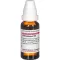 PETROSELINUM D 6 Dilution, 20 ml