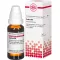 CACTUS D 6 Dilution, 20 ml