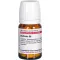 BERBERIS D 6 tablets, 80 pcs