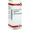 AVENA SATIVA Mother tincture, 20 ml