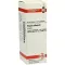 VISCUM ALBUM Mother tincture, 20 ml