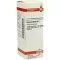 VISCUM ALBUM D 2 Dilution, 20 ml