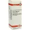 VISCUM ALBUM D 6 Dilution, 20 ml