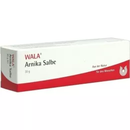 ARNIKA OINTMENT, 30 g