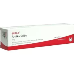 ARNIKA OINTMENT, 100 g