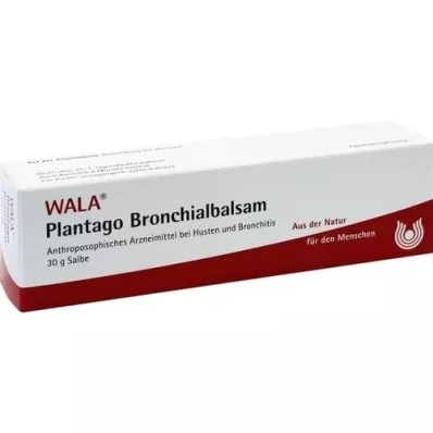 PLANTAGO BRONCHIAL BALM, 30 g