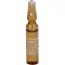 SANUVIS Injection ampoules, 10X2 ml