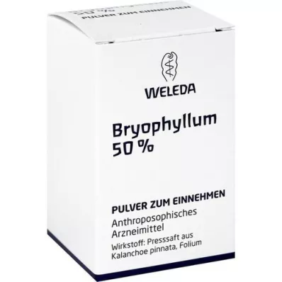 BRYOPHYLLUM 50% Oral powder, 20 g
