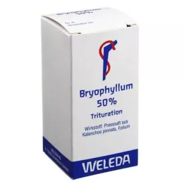 BRYOPHYLLUM 50% Oral powder, 20 g