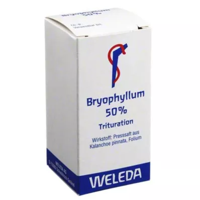 BRYOPHYLLUM 50% Oral powder, 20 g BRYOPHYLLUM 50% Oral powder, 20 g