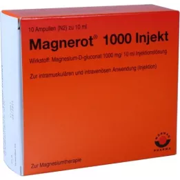 MAGNEROT 1000 Inject Ampoules, 10X10 ml