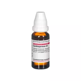 CARDIOSPERMUM D 1 Dilution, 20 ml