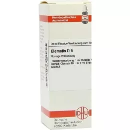 CLEMATIS D 6 Dilution, 20 ml