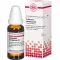 COLLINSONIA CANADENSIS D 3 Dilution, 20 ml