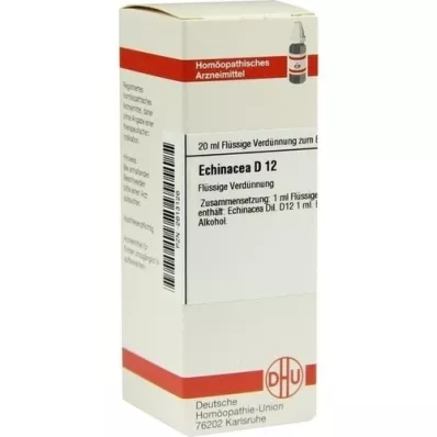 ECHINACEA HAB D 12 Dilution, 20 ml