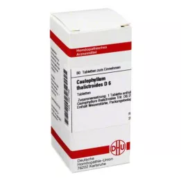 CAULOPHYLLUM THALICTROIDES D 6 tablets, 80 pc