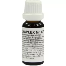 REGENAPLEX No.67 drops, 15 ml