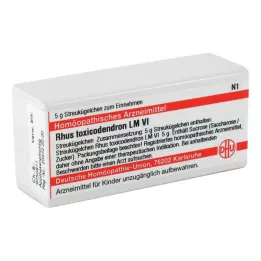 RHUS TOXICODENDRON LM VI Globules, 5 g