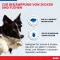 BOLFO Flea protection band brown for small dogs/cats, 1 pc
