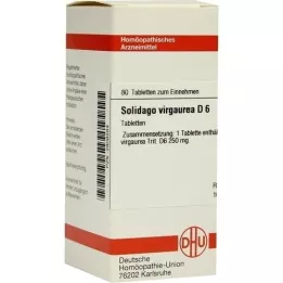 SOLIDAGO VIRGAUREA D 6 tablets, 80 pc