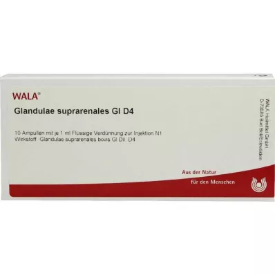 GLANDULAE SUPRARENALES GL D 4 Ampoules, 10X1 ml