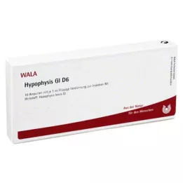 HYPOPHYSIS GL D 6 Ampoules, 10X1 ml