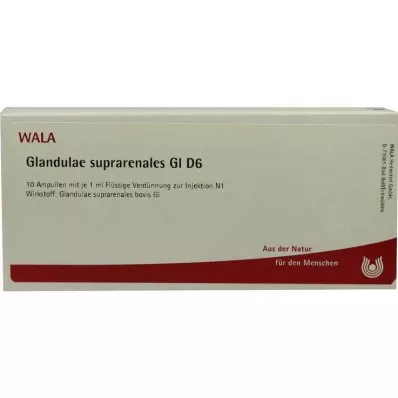 GLANDULAE SUPRARENALES GL D 6 Ampoules, 10X1 ml
