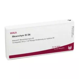 MESENCHYM GL D 6 Ampoules, 10X1 ml