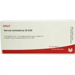 Sciatica nerve GL D 30 ampoules, 10X1 ml