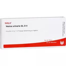 VESICA URINARIA GL D 4 Ampoules, 10X1 ml