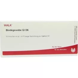 BINDEGEWEBE GL D 6 Ampoules, 10X1 ml