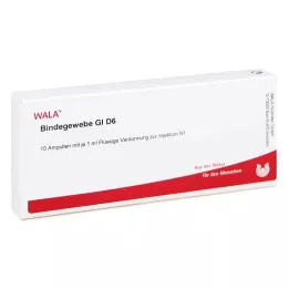 BINDEGEWEBE GL D 6 Ampoules, 10X1 ml