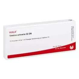 VESICA URINARIA GL D 6 Ampoules, 10X1 ml