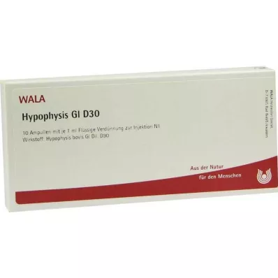 HYPOPHYSIS GL D 30 Ampoules, 10X1 ml HYPOPHYSIS GL D 30 Ampoules, 10X1 ml