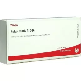 PULPA DENTIS GL D 30 Ampoules, 10X1 ml